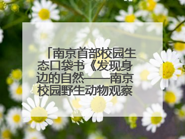南京首部校园生态口袋书《发现身边的自然——南京校园野生动物观察手册》首发