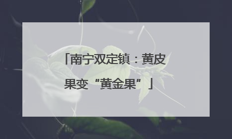 南宁双定镇：黄皮果变“黄金果”
