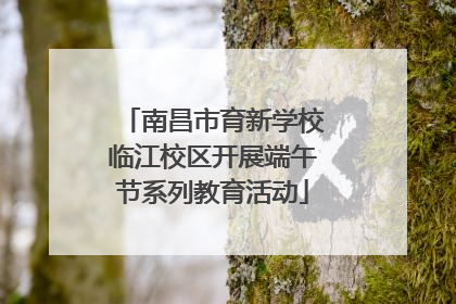 南昌市育新学校临江校区开展端午节系列教育活动