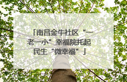 南昌金牛社区“一老一小”幸福院托起民生“微幸福”