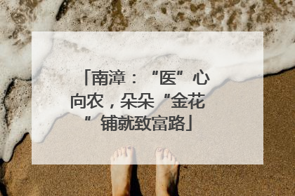 南漳：“医”心向农，朵朵“金花”铺就致富路