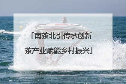 南茶北引传承创新 茶产业赋能乡村振兴
