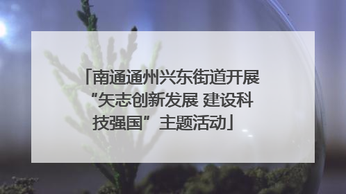 南通通州兴东街道开展“矢志创新发展 建设科技强国”主题活动
