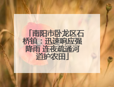 南阳市卧龙区石桥镇：迅速响应强降雨 连夜疏通河道护农田