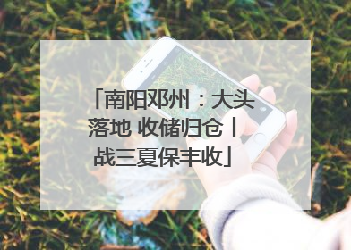 南阳邓州：大头落地 收储归仓丨战三夏保丰收