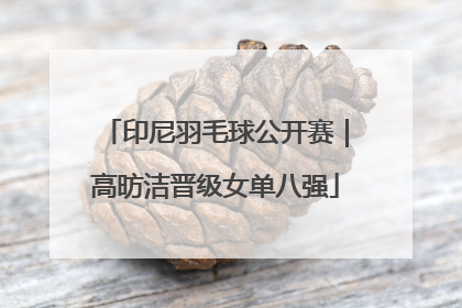 印尼羽毛球公开赛｜高昉洁晋级女单八强
