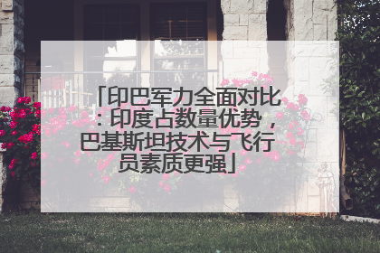 印巴军力全面对比：印度占数量优势，巴基斯坦技术与飞行员素质更强