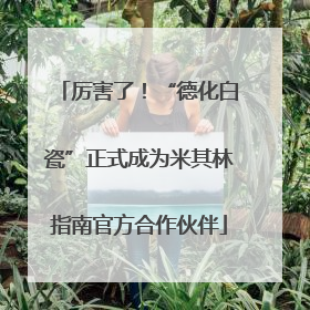 厉害了！“德化白瓷”正式成为米其林指南官方合作伙伴