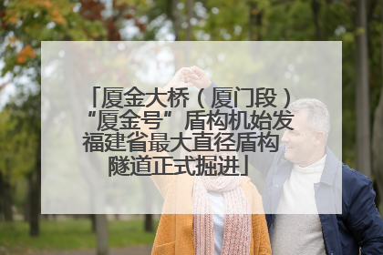 厦金大桥（厦门段）“厦金号”盾构机始发 福建省最大直径盾构隧道正式掘进