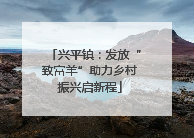 兴平镇：发放“致富羊”助力乡村振兴启新程