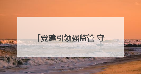 党建引领强监管 守护民生“水电气”