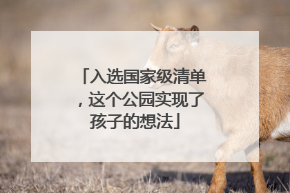 入选国家级清单，这个公园实现了孩子的想法