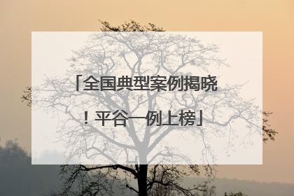 全国典型案例揭晓！平谷一例上榜