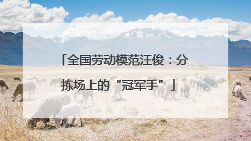 全国劳动模范汪俊：分拣场上的“冠军手”