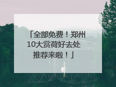 全部免费！郑州10大赏荷好去处推荐来啦！