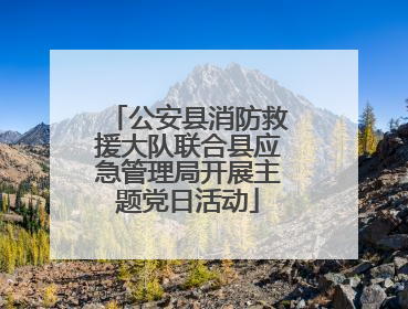 公安县消防救援大队联合县应急管理局开展主题党日活动