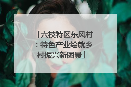 六枝特区东风村：特色产业绘就乡村振兴新图景