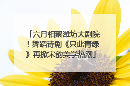 六月相聚潍坊大剧院！舞蹈诗剧《只此青绿》再掀宋韵美学热潮