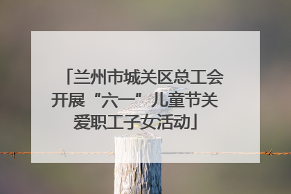兰州市城关区总工会开展“六一”儿童节关爱职工子女活动
