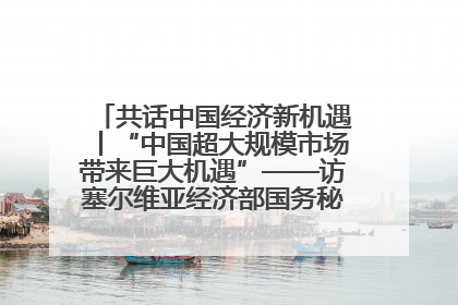 共话中国经济新机遇丨“中国超大规模市场带来巨大机遇”——访塞尔维亚经济部国务秘书尼科利奇