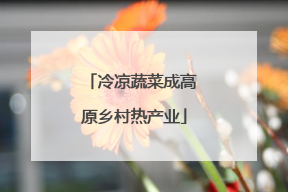冷凉蔬菜成高原乡村热产业