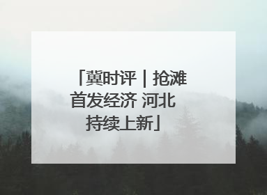 冀时评｜抢滩首发经济 河北持续上新