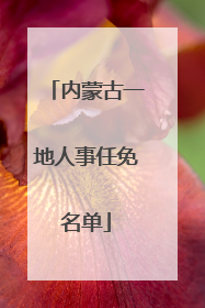 内蒙古一地人事任免名单