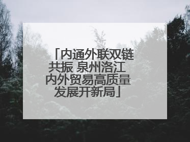 内通外联双链共振 泉州洛江内外贸易高质量发展开新局