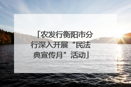 农发行衡阳市分行深入开展“民法典宣传月”活动