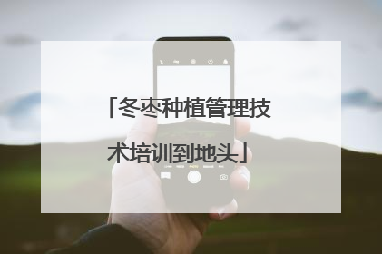 冬枣种植管理技术培训到地头