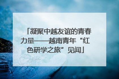 凝聚中越友谊的青春力量——越南青年“红色研学之旅”见闻