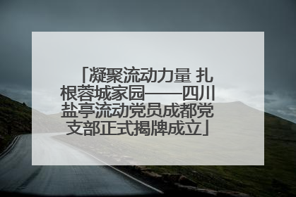 凝聚流动力量 扎根蓉城家园——四川盐亭流动党员成都党支部正式揭牌成立