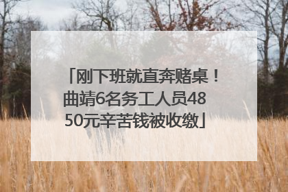 刚下班就直奔赌桌！曲靖6名务工人员4850元辛苦钱被收缴