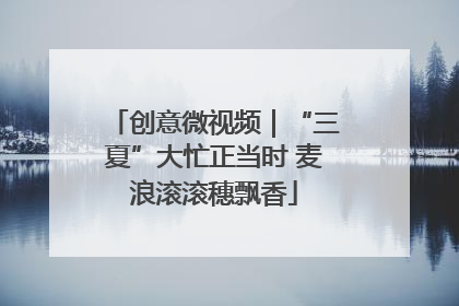 创意微视频｜“三夏”大忙正当时 麦浪滚滚穗飘香