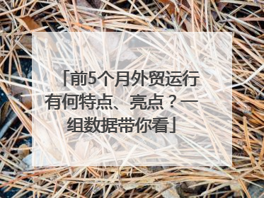 前5个月外贸运行有何特点、亮点？一组数据带你看