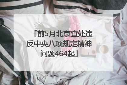 前5月北京查处违反中央八项规定精神问题464起