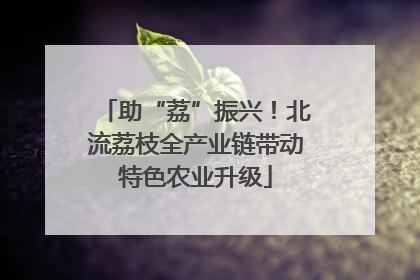 助“荔”振兴！北流荔枝全产业链带动特色农业升级
