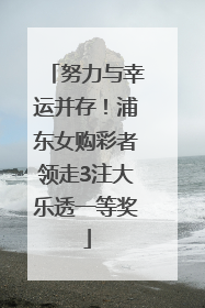 努力与幸运并存！浦东女购彩者领走3注大乐透一等奖