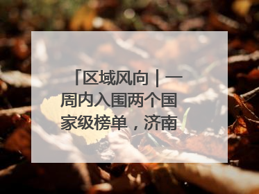 区域风向｜一周内入围两个国家级榜单，济南“显性增长”刷新城市影响力