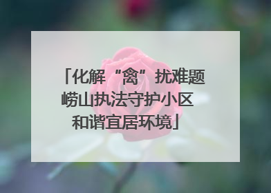 化解“禽”扰难题 崂山执法守护小区和谐宜居环境