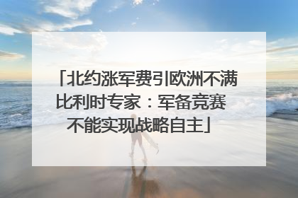 北约涨军费引欧洲不满 比利时专家：军备竞赛不能实现战略自主