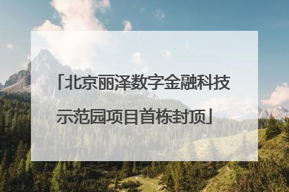 北京丽泽数字金融科技示范园项目首栋封顶