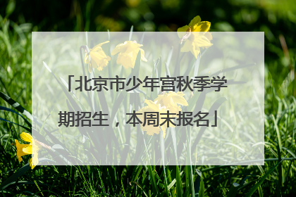 北京市少年宫秋季学期招生，本周末报名
