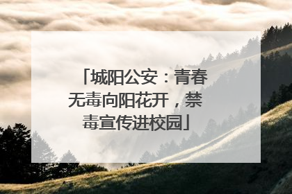 城阳公安：青春无毒向阳花开，禁毒宣传进校园
