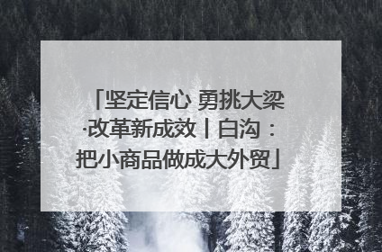 坚定信心 勇挑大梁·改革新成效丨白沟：把小商品做成大外贸