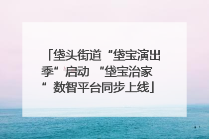 垡头街道“垡宝演出季”启动 “垡宝治家”数智平台同步上线