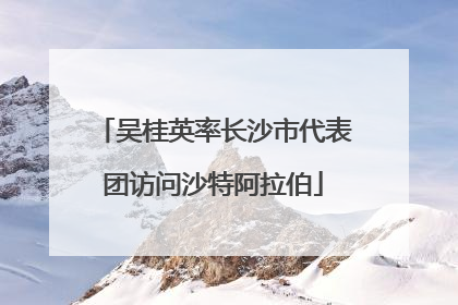 吴桂英率长沙市代表团访问沙特阿拉伯