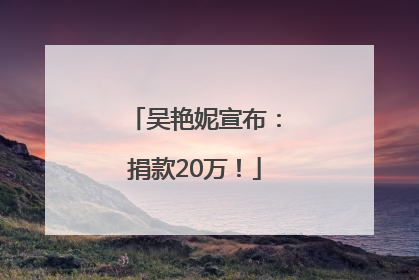 吴艳妮宣布：捐款20万！