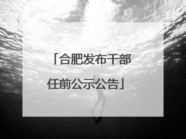 合肥发布干部任前公示公告