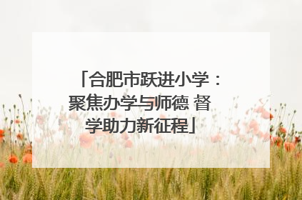 合肥市跃进小学：聚焦办学与师德 督学助力新征程